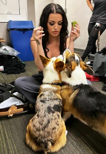 Saraya Bevis