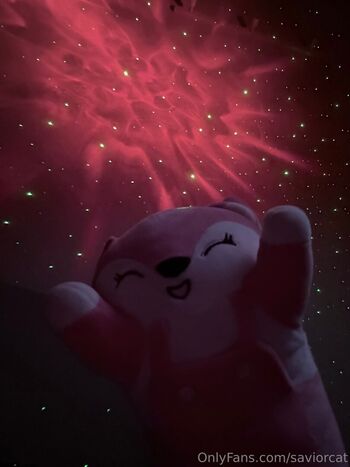 saviorcat