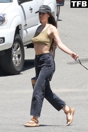 Scout Willis