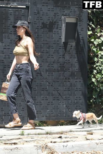 Scout Willis