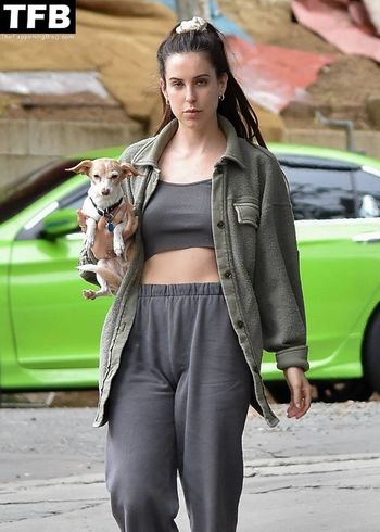 Scout Willis