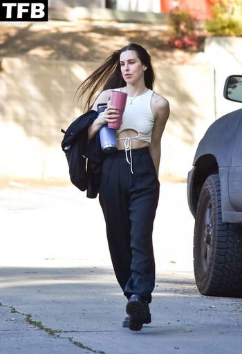 Scout Willis