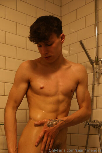 sean4mendes