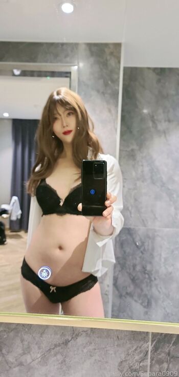 Seoara0909