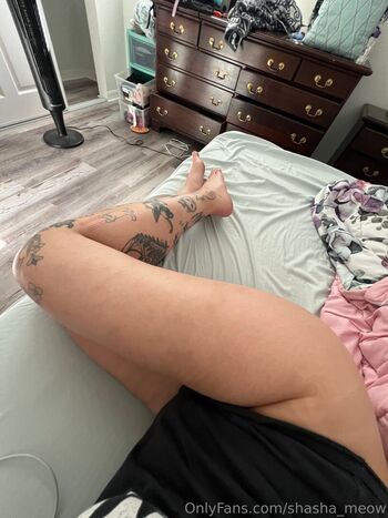 shasha_meow