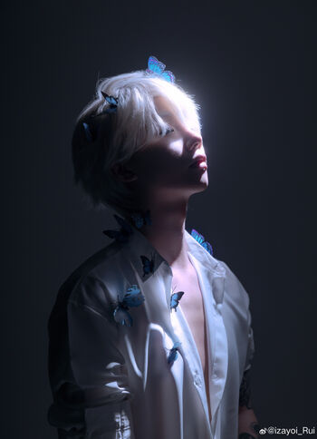 shiliuyelei