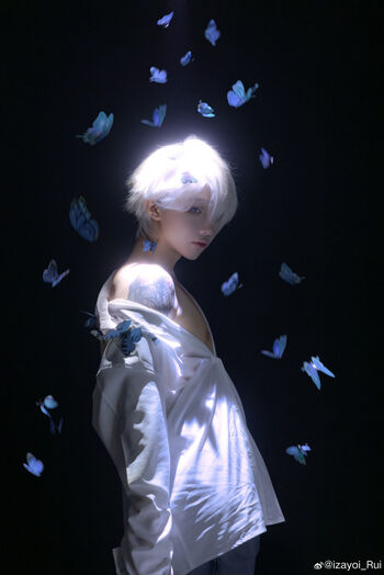 shiliuyelei