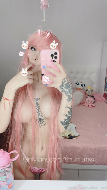 Shunli_Mei