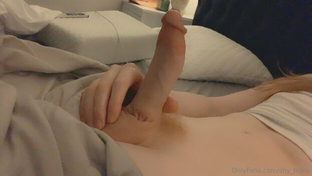 shy_trans