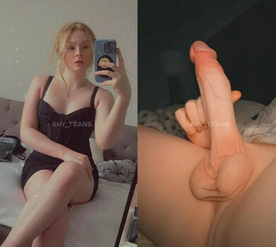 shy_trans