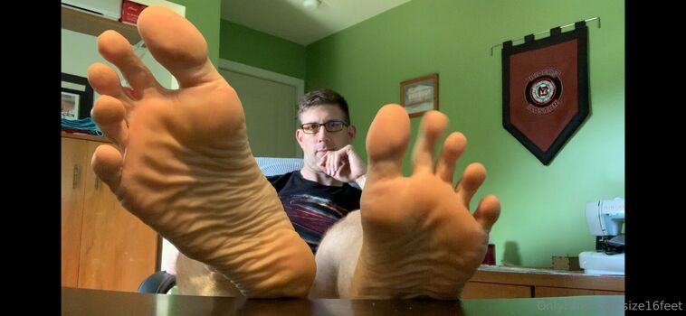 size16feet