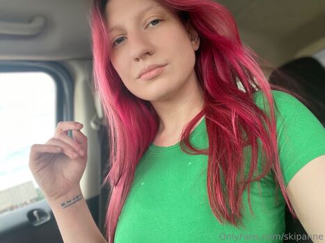 skipanne
