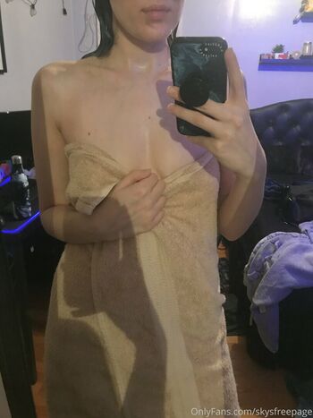skysfreepage