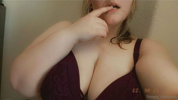 sleepy_hneybee