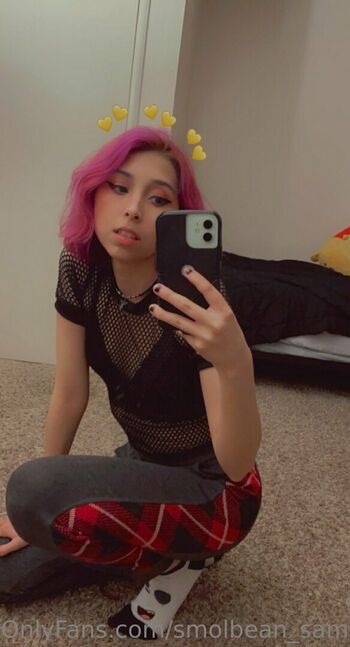 smolbean_sami