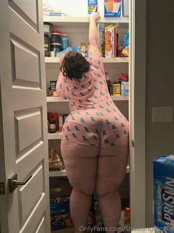 snowangelcake