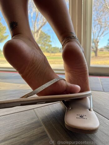 solepurposetexasofficial