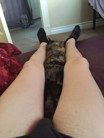 Sophie Ladder