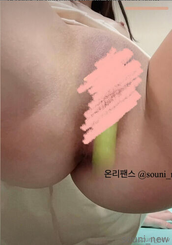 souni_new