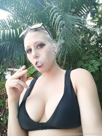 sparkxamber