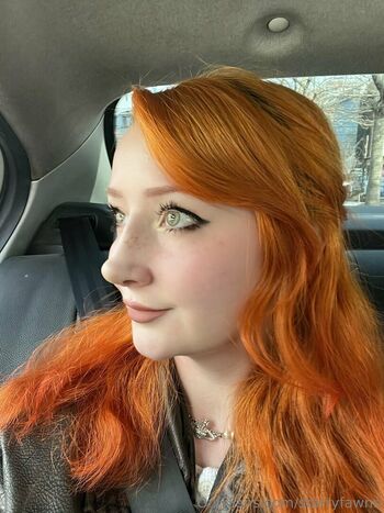 Starrybunny