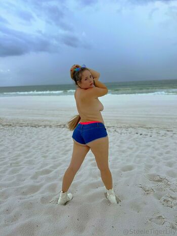 steeletigerlily