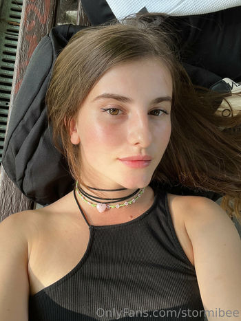 stormibee