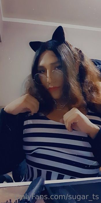 sugar_ts