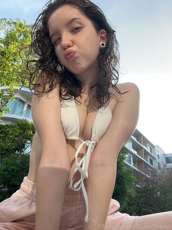 SusieSheep