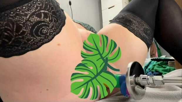 sweetlucysfreepage