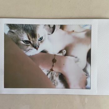 Sxeyes_