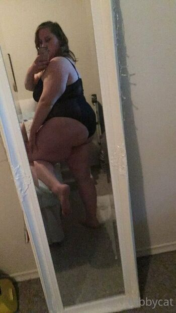 tabby_cat95