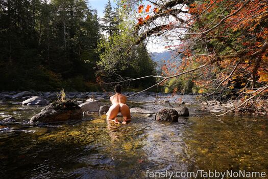 tabbynoname