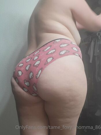 tame_foxy_momma_86