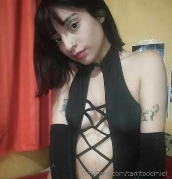 tarritodemiel_