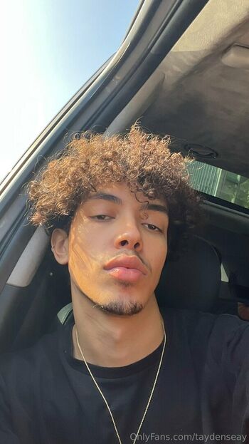 taydenseay