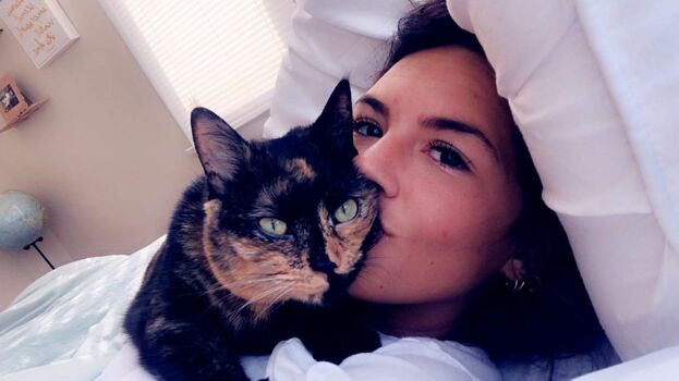 Taylor Horner