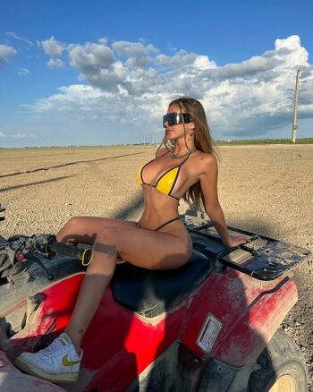 Taylor Shay