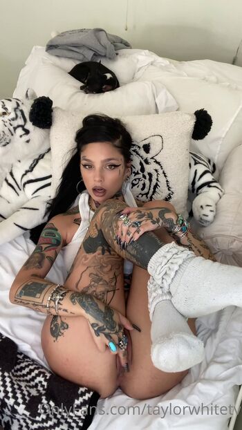 Taylor White