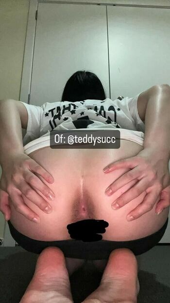 teddysucc