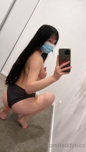 teddysucc