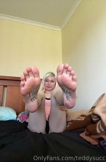 teddysucc
