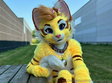 thatyellowkitty