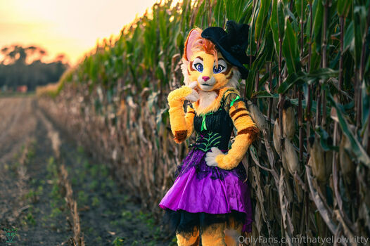 thatyellowkitty