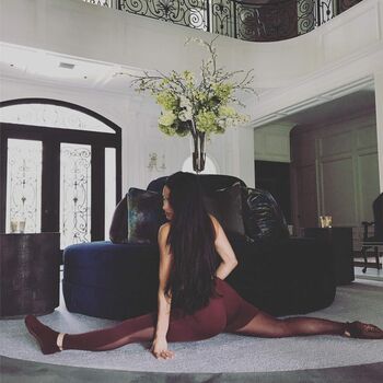 The Bella Twins