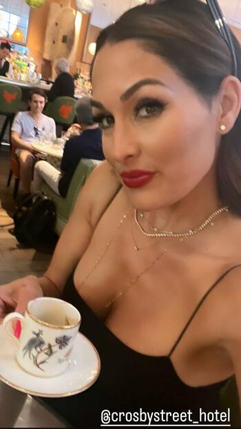 The Bella Twins