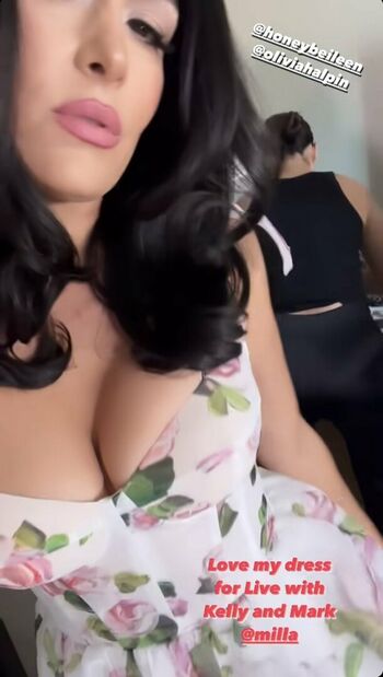 The Bella Twins
