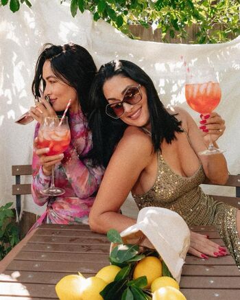 The Bella Twins