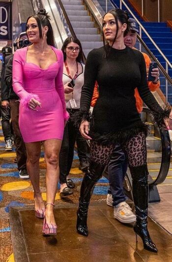 The Bella Twins