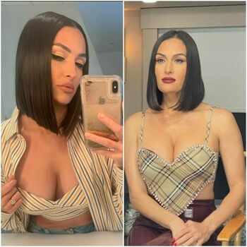 The Bella Twins